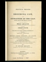 A Practical Treatise on the Breeding Cow