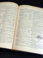 An Unabridge Japanese-English Dictionary