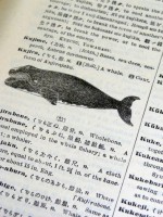 An Unabridge Japanese-English Dictionary