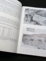 The Excavations of the Roman Forts of the Classis Britannica at Dover 1970–1977