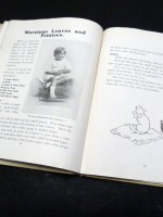 The Little Girl's Sweet Book