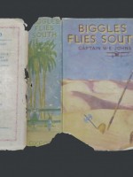 Biggles Flies South