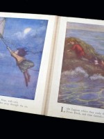 Peter Pan's Play-Book