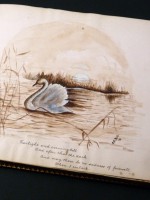 Horace Knight, an original entomological painting in an autograph book