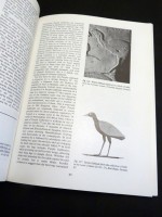 The Birds of Ancient Egypt