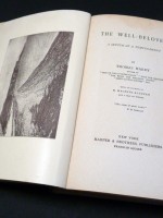 The Well-Beloved