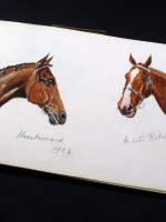 Original 1920s watercolour album: horses, horse racing, equestrian etc