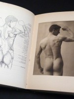 A Handbook of Anatomy for Art Students